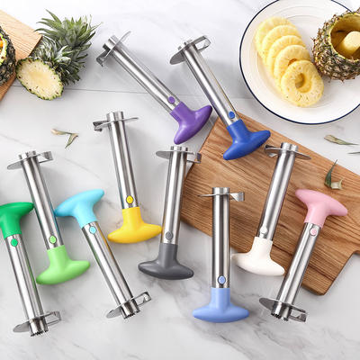 RUITAI OEM Colorful professional stainless steel pineapple corer and slicer tool cutter ZJ1537A