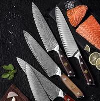 RUITAI Yangjiang manufacturers OEM Kitchen chef knife set damascus GM2033